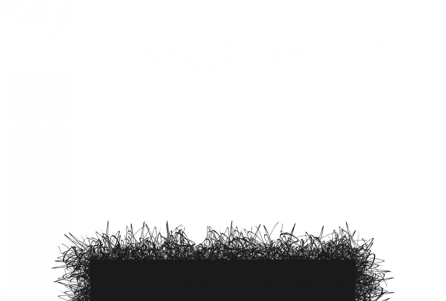 Page 341