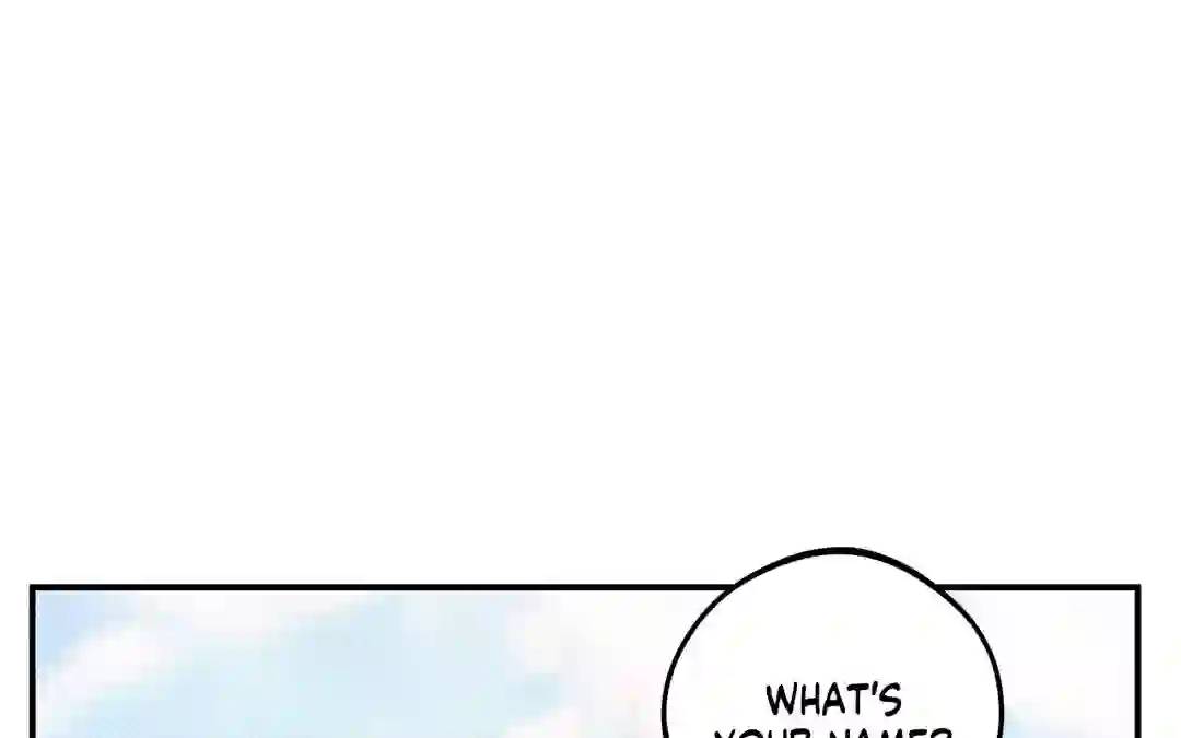 Page 271