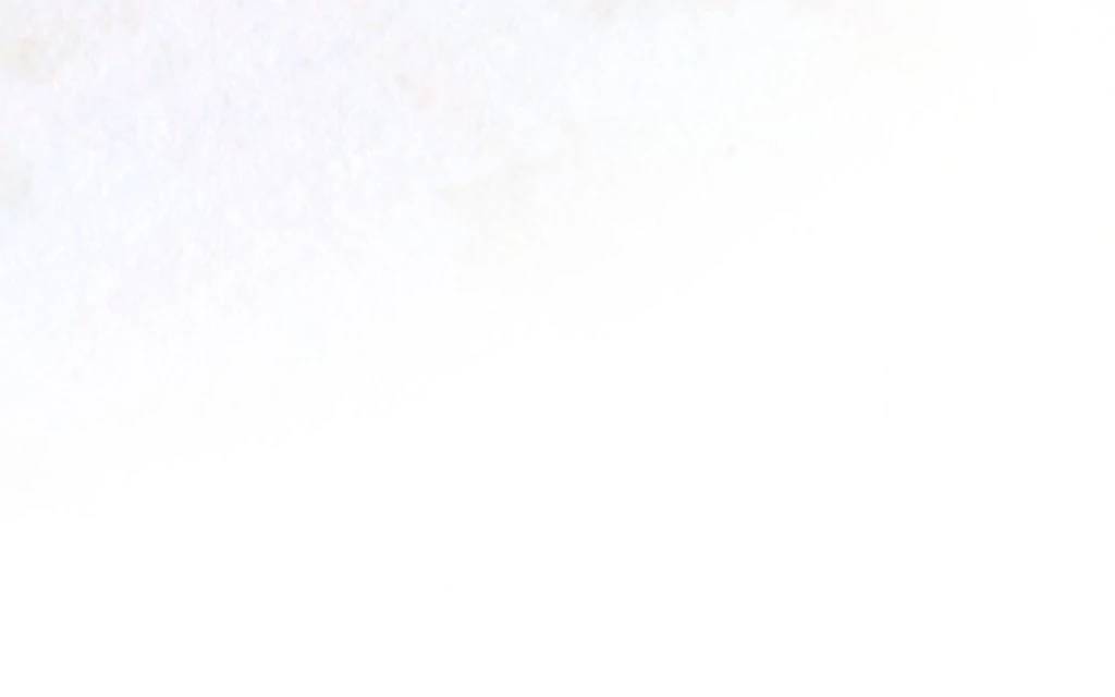 Page 278
