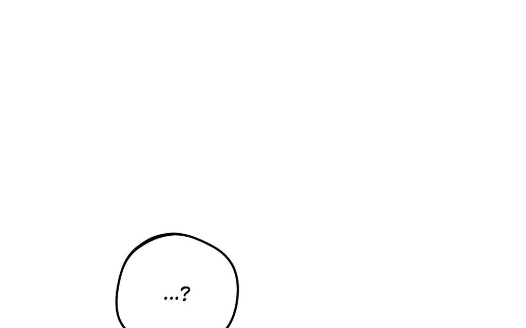 Page 262