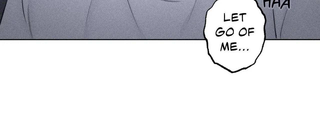 Page 243