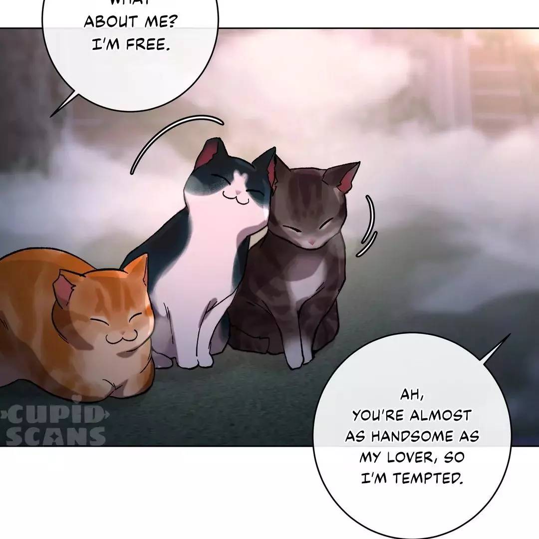 Page 221