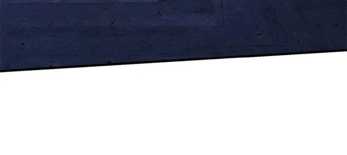 Page 205
