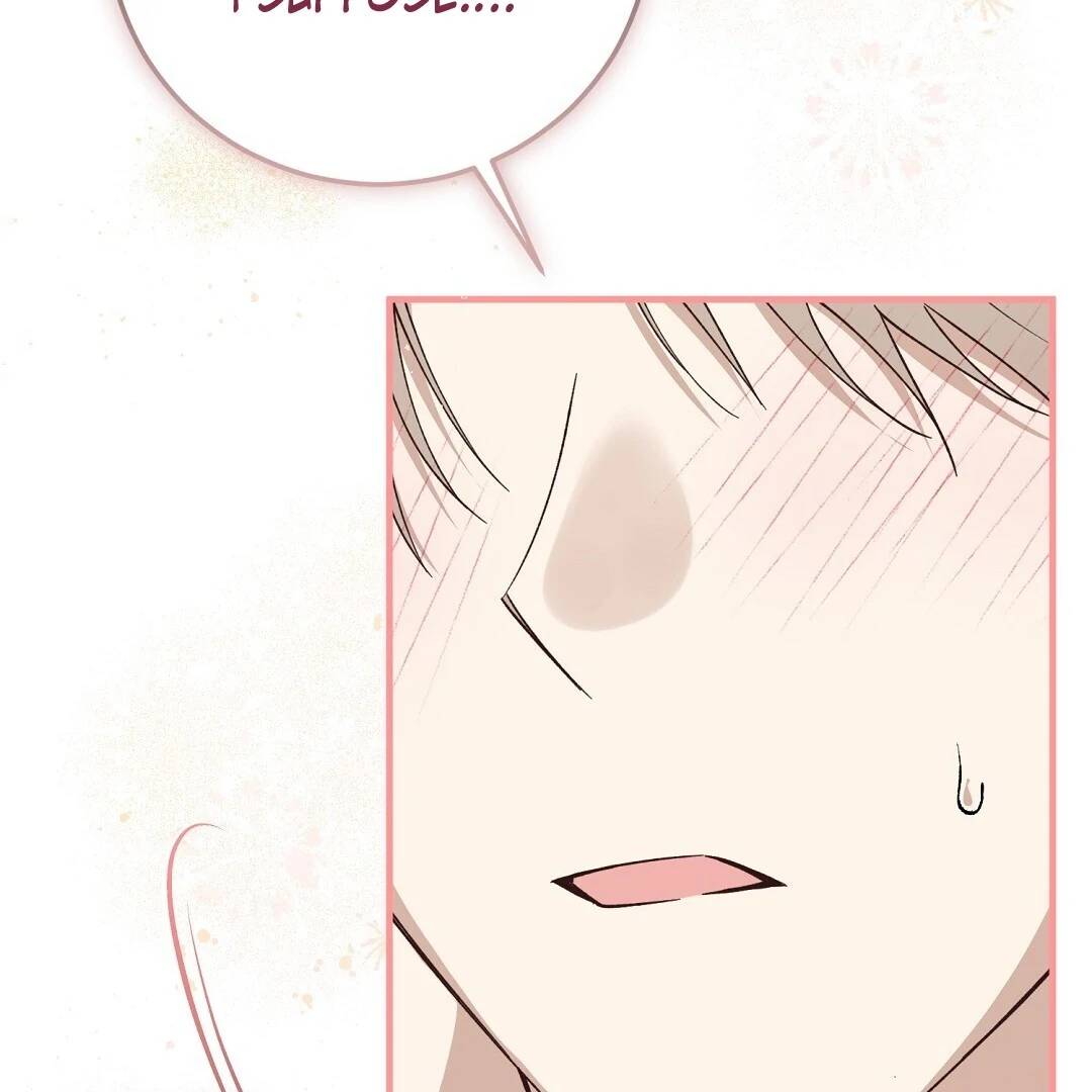 Page 243